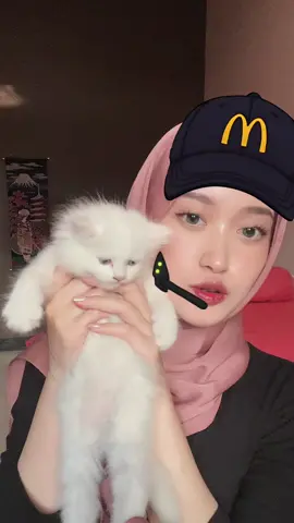 tidak ada yg tersakiti di video ini😀