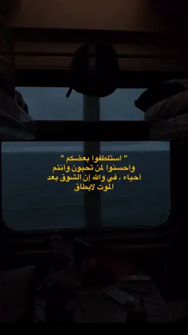 لايــك ❤️#fyp #stitch #viral #anime #duhocsinhdailoan #danewithpubgm #SAM #edit #duet #اقتباسات #fypシ #عبارات #tiktok #hd #instaxchallenge #asmr #asmrfood 
