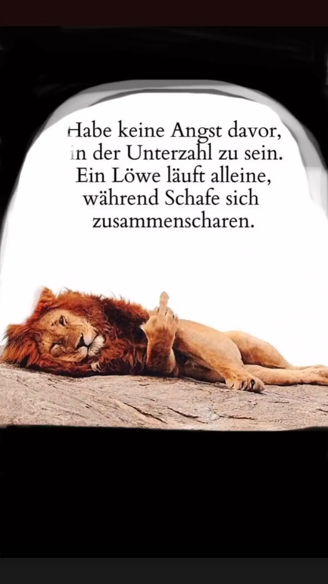 #keineangst #löwenherz❤️🦁 #scharfe #💯💯💯 #viral #true #4u #InstantInkFeelings #😈🔥 