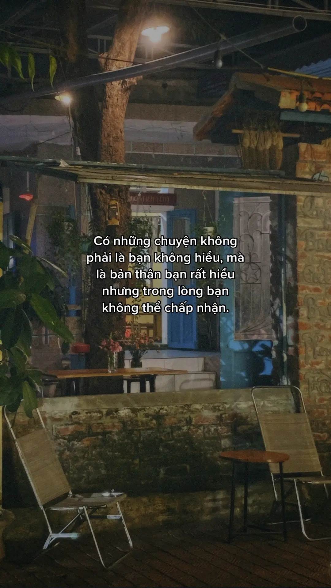 #hongquang02 #promisedaxix 