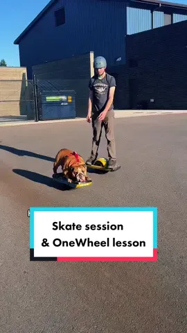 Happy Sunday friends! Hope you are having a wonderful weekend doing the things you love. Chowder finally got out to skate and practice his OneWheel. We’re ready for more sun and more skateboarding! Pls note- Chowder is a very experienced skater and we take MANY safety precautions. #Skateboarding #skateboardingdog #skate #onewheel #adayinmylife #Vlog #learningontiktok #familytime 