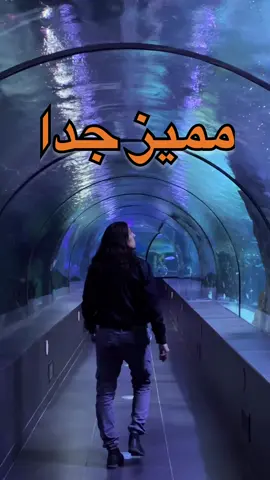 لازم تزور المكان ده يوما ما انت ومن تحب 🤍📍🇹🇷#تركيا #اسطنبول #سياحة #اكسبلور #fyp 