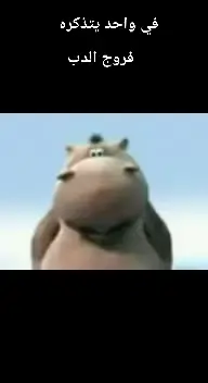 فروجه الدب