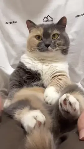 🥰