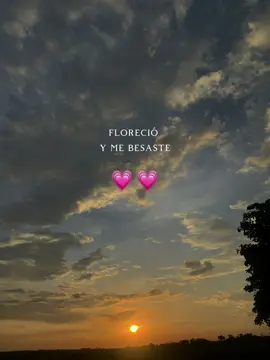 Tu loco soy yo 💗#amor❤️ #silvestredangond🥃🍺🥃🍺 #musica #bolivar #naturaleza #cielo #parati 