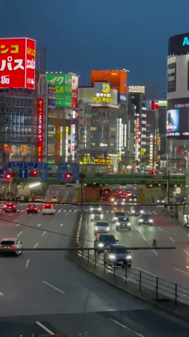 Shinjuku in Tokyo is both a business district with skyscrapers and a large downtown area. #shinjuku #tokyo #train #trains #yamanoteline #saikyoline #shonanshinjukuline #kabukicho #skyscraper #skyscrapers #downtown #新宿 #東京 #歌舞伎町 #副都心 #鉄道 #電車 #山手線 #埼京線 #湘南新宿ライン 