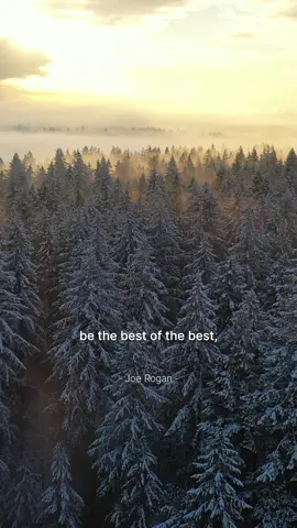 Everyday is a new project and a new beginning. Speaker Joe Rogan. . . . . . #motivation #success #discipline #mindset #grow #dedication #foryou #fyp 
