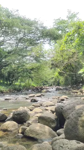 My kind of relaxation with beautiful view + good music and friends😍 #fypシ #foryou #RelaxingView #NaturesBeauty #PeacefulVideos #TravelTikTok #outingwithfriends #unwind #nature 