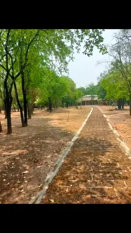 #เมืองโบราณบ้านโนนเมือง เมืองโบราณบ้านโนนเมือง #ชุมแพ #ชุมแพหวานเจี๊ยบ #ปานตะวัน