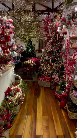 #christmas #christmastiktok #festive #christmaspresents #fyp #fypシ #fyppppppppppppppppppppppp #christmastree #christmasdecor #christmasaesthetic #christmascountdown #festivefeels #christmastok #foryoupage #fyppppppppppppppppppp 