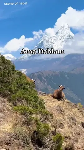 view of ama dablam🇳🇵 #amadablam #mountain  #himalayanthar #jharal 