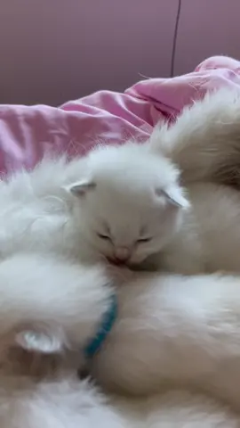 Some cute clips of Harry 
