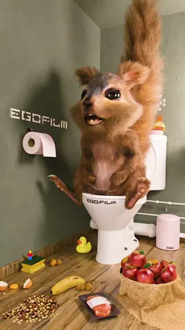 When you push un little to much 🐿  #petz #funny #egofilm #squirrel #toilet #fart #farting #dbz #meme