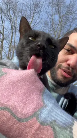 I knew this cat looked familiar! #catwalk #catluminati 
