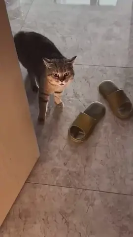 🥰
