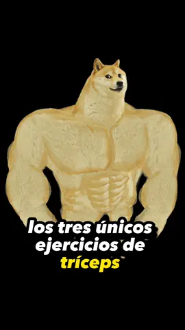 Los 3 ÚNICOS ejercicios de TRICEPS que necesitas B) #Fitness #GymTok #workout #triceps #foryou #foryoupage #viral