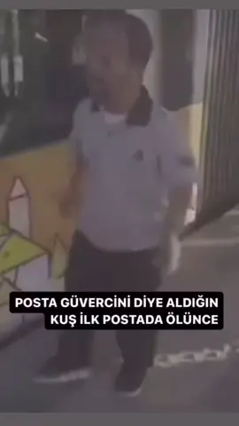 ne olucam ya #tramvaysapığıcüce #tramvaycücesi #tramvaysapığı 