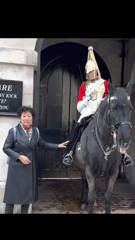 Do not touch the King’s Guard💂‍♀️  #foryou #horseguardsparade #kingsguards #king #guard  #foryoupage #foryourpage #viral #trending #uk #London #horse #getofthereins #fyp #horse 