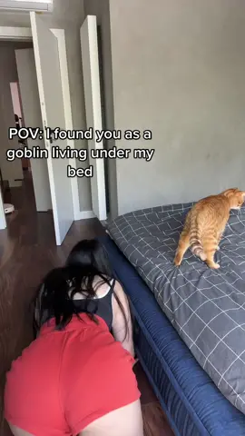 Cats were paid actors #goblin 