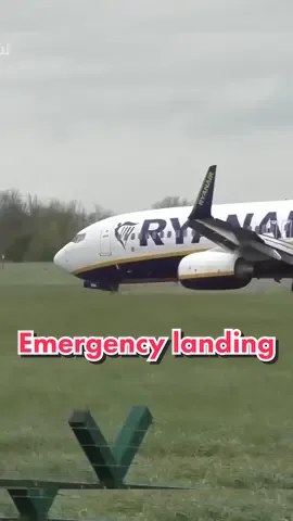 Emergency landing without the front landing gear #emergency #aircraft #ryanair #aircrash #aircrashinvestigation #aviation #aviationlovers #boeing737 