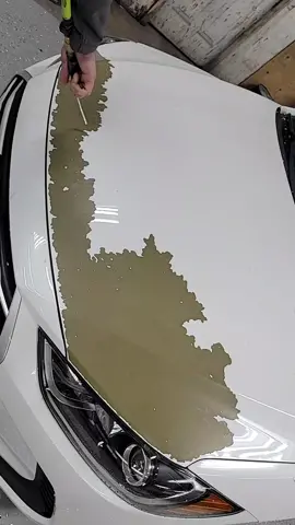 Gotta love the Hyundai paint defect. Blowing the paint away 😏🤣 part 1  #hyundaipaintpeeling #hyundaipaintrecall #arlosautobody