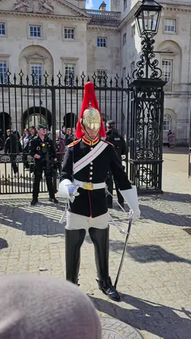 King’s Guard Stand outside Horse Guards  #foryou #horseguardsparade #theking #guards #foryoupage #foryourpage #viral #trending #uk #London #fyp #horse #queen 