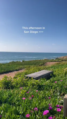 My happy place 😁 #sandiego #sandiegolife #sunsetcliffs 