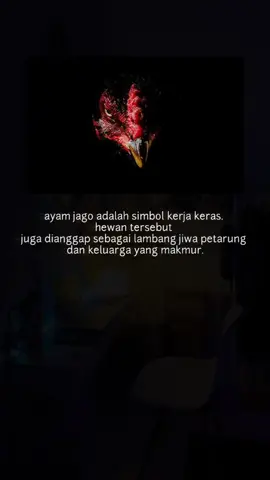 Orang jawa pasti paham, apa arti simbol ayam jago #jawafakta89 #ayamjago #ayamjagopsht #fypシ゚viral #faktaduniaunik1 #xyzbca 