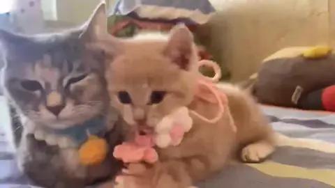 🥰