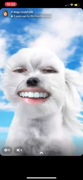 if dogs could talk #timothythedog #foryou #fyp #humour #funny #helpmeblowup #lol #memes #dogfilter #talkingdog #ifdogscouldtalk #voiceover #sillygoose 