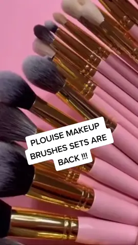 PLOUISE MAKEUP BRUSHES SETS ARE BACK !!!!! #treatyourself #ilovemakeup💄 #plouisemakeup #plouisemakeupacademy #plouise 