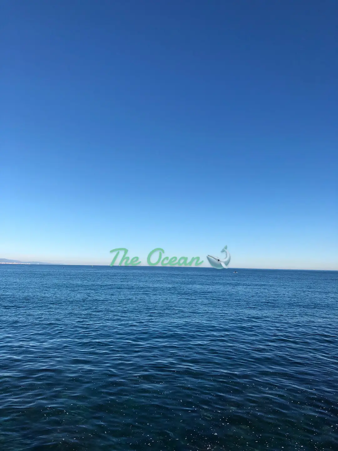 The Ocean 💙  #photography #sea #ocean #blue #nature #earth #viral #fyp #foryou #pourtoi #swipe 