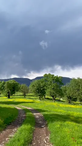 #kurdistan #barzan #nature #foryou #fyp #fypシ #viral #peshkaft10 #10 