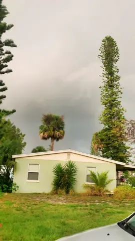 My neighbor filmed this as a severe thunderstorm rolled through. Lightning struck the tree and my home. Lost a few appliances but most importantly everyone is okay. Definitely ruffled our feathers. #lightning #thunderstorm #southflorida 