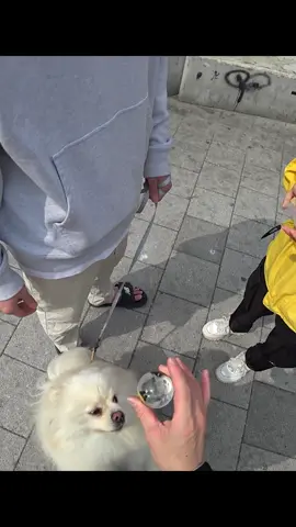 비눗방울 잡기 #카드마술 #쇼킴매직 #홍대마술 #비눗방울마술 #거리마술 #추천 #streetmagic #streetmagicreactions #bubblemagic