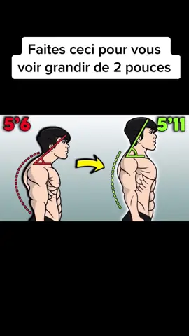 Tu peux le faire !!! 💪💪💪 #muscu #musculation #courage #5m #muscle #sports #veinyarms 
