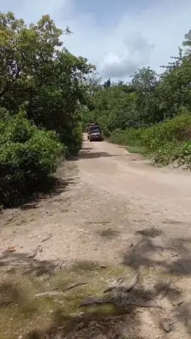 🙄🤙