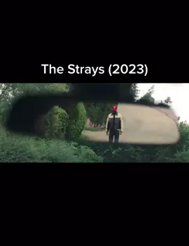 The Strays (2023) - Available to stream on Netflix #scarymovie #thrillermovie #thriller #netflix #britishthriller #horror 
