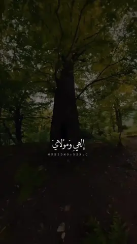 نسألكم الدعاء في هذه الليلة #دعاء_كميل #عباس_صالحي #ليلة_الجمعة #شهر_رمضان #ليلة_مباركة_ودعاء_مستجاب_بإذن_الله #ادعية_شهر_رمضان #الشيعة #صاحب_العصر_والزمان #اكسبلورexplore #بغداد #البصرة #القطيف #البحرين #النجف #كربلاء #نسألكم_الدعاء #العشر_الاواخر_من_رمضان #العشر_الاواخر #explore 