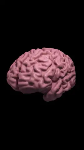 alzheimer é foda 😔 #alzheimer #medicina #biomedicina #saude #psicologia #neurociencia #curiosidades #informação #cerebro #ciencia #biologia #bioquimica 