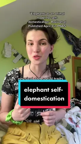 #funfacts #news #sciencenews #mindblown #evolution #science #elephants 