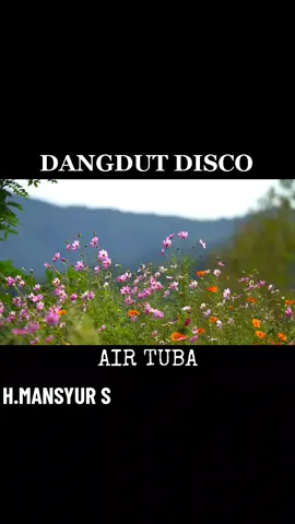 #Dangdutdisco #Hmansyurs #Airtuba 