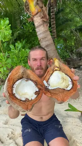 Extremely delicious, we eat these regularly on our raw vegan diet whenever we find them. They tend to be at deserted beaches in the tropics as the palms are dropping them by the hundreds every day. Free food that tastes better than the real ‘bread and butter’ deal😱 #rawvegan #fruit #veganfood #Foodie #survival 