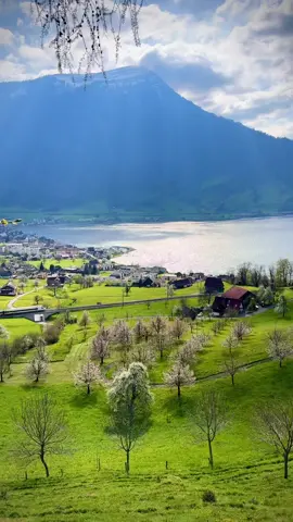 #switzerland #swissaround #zug #spring #springtime travel #nature #swiss #reisen #mountains #schweiz #photography #suisse #landscape #travelphotography #photooftheday #europe #wanderlust #arthgoldau #travelgram #Love #alps #swissalps #lake #tourism #zurich #zug #bern #wetzikon #schweiz 