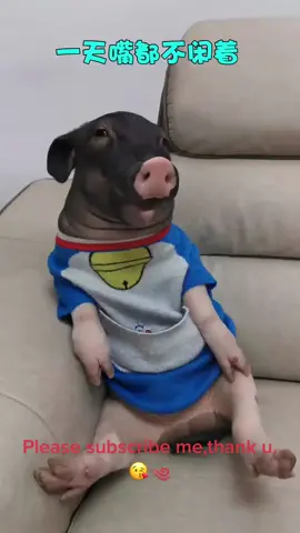 #pig