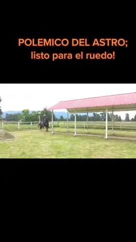 #caballos #grillo #experience #aventura #colombia #turismo #pasofino #cundinamarca #tenjo #entretenimiento #trochapuracolombiana 