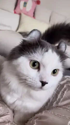 🥰