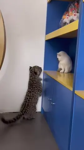 😊