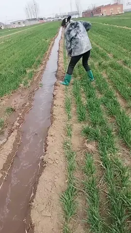 Rerouting the water