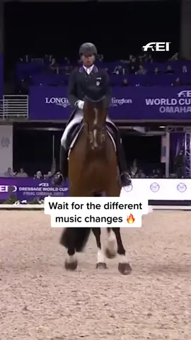 Did you get goosebumps as well? 😄 #FEI #equestrian #dressage #horsesoftiktok #ravehorse 